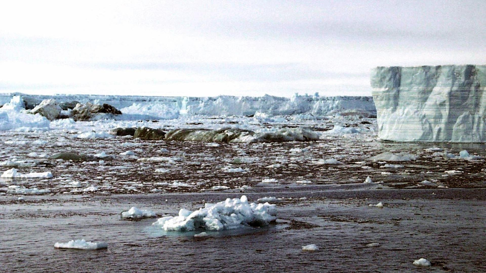 Eisberge und -schollen treiben nach dem  am  8. März 2002 im Meer der Antarktis, nachdem sich dort eine gigantische Eisfläche von mehr als der vierfachen Größe  Hamburgs gelöst hat und  in mehrere tausend Teile zerbrochen istDie
