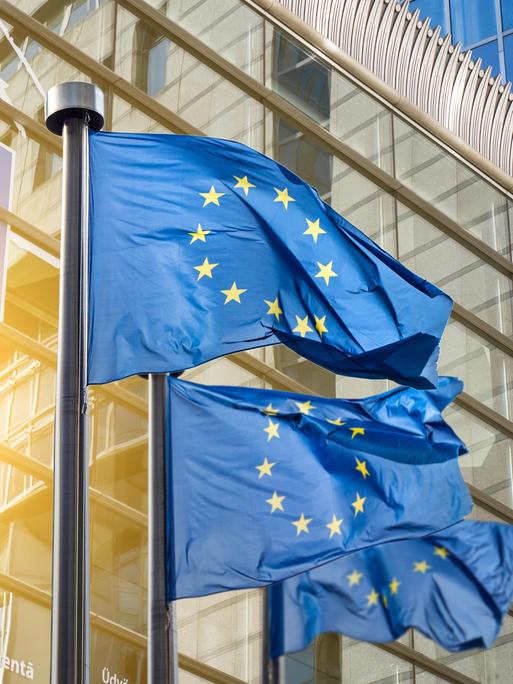 Die Fassade des Europaparlaments im Abendlicht - davor zwei wehende Europaflaggen