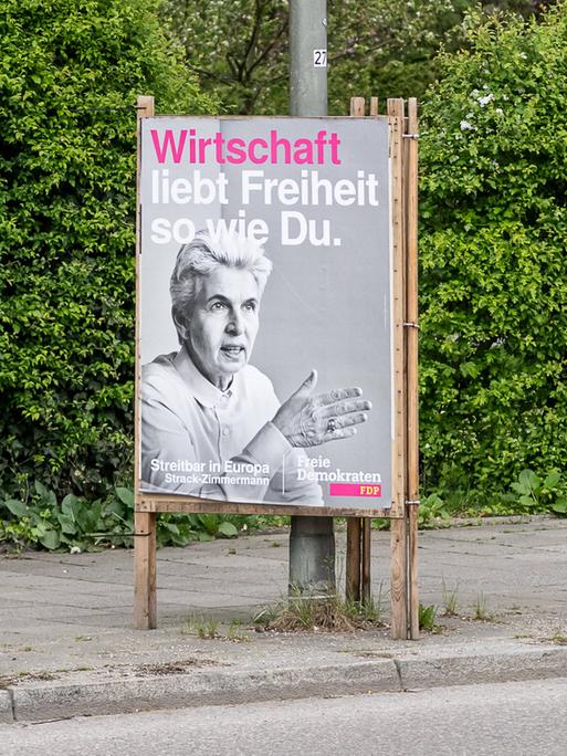 Auf einem Plakat der FDP für die Europawahl ist Agnes Strack-Zimmermann abgebildet. Über ihr steht: "Wirtschaft liebt Freiheit so wie du."
