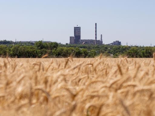 Ein Weizenfeld im Vordergrund, dahinter die Stadt Lugansk in der Ukraine.