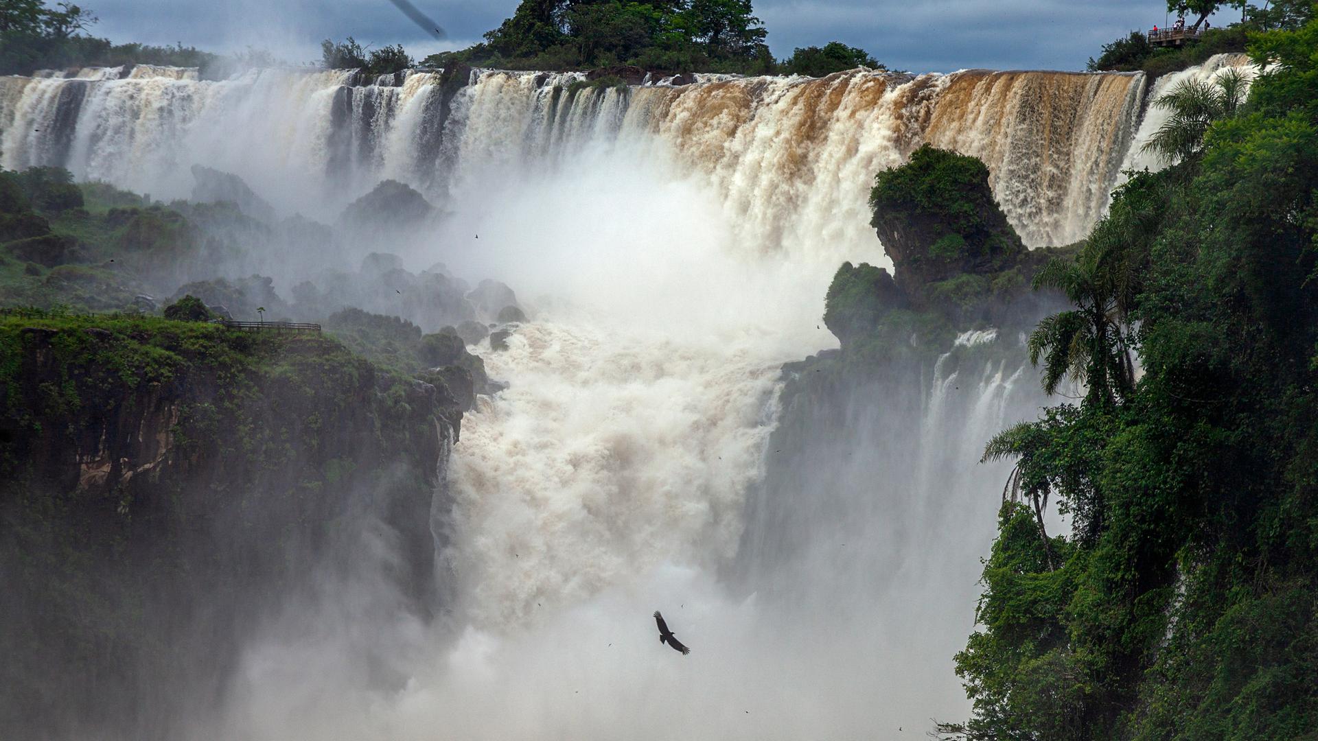 Wasser fließt durch den Wald im Wasserfall "San Martin" im argentinischen Naturpark Iguazu.