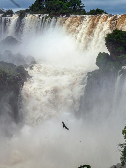 Wasser fließt durch den Wald im Wasserfall "San Martin" im argentinischen Naturpark Iguazu.