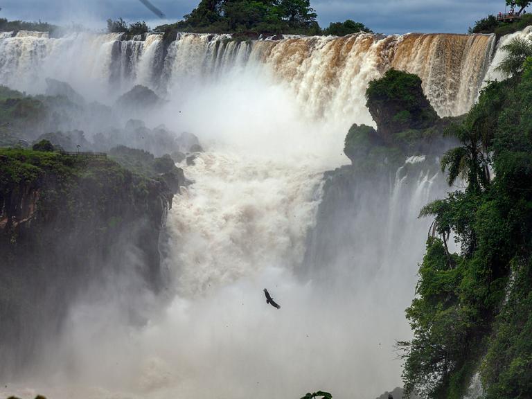 Wasser fließt durch den Wald im Wasserfall "San Martin" im argentinischen Naturpark Iguazu.