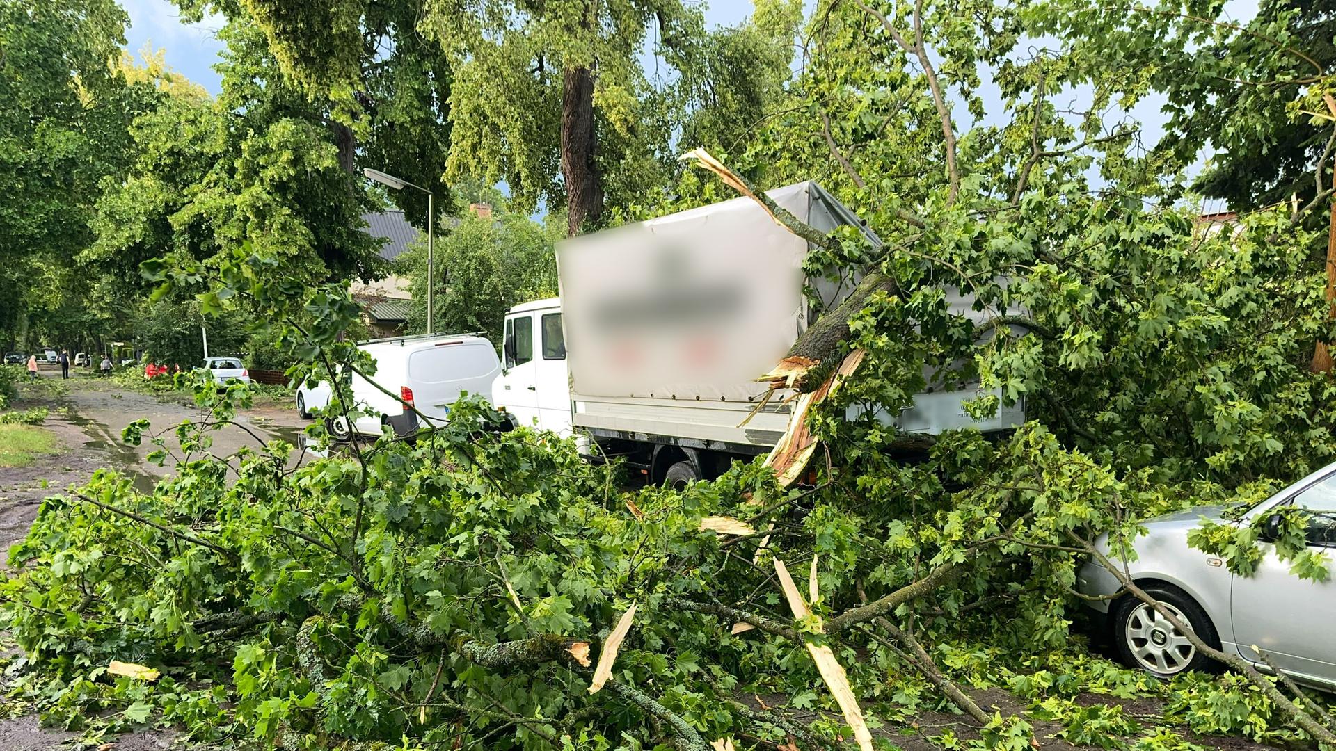 Ein Baum ist im Berliner Stadtteil Heiligensee durch schwere Böen auf Autos und einen Transporter gefallen. Ein Baum ist im Berliner Stadtteil Heiligensee durch schwere Böen auf Autos und einen Transporter gefallen.