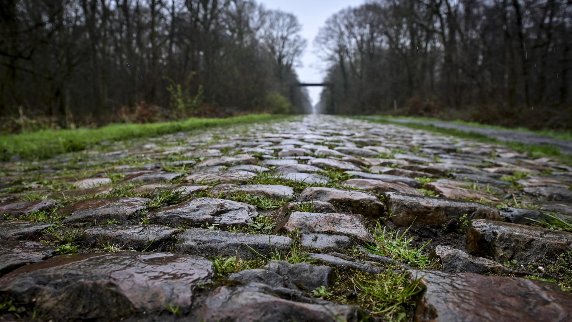 Ein mit Kopfstein gepflasterter Waldweg, die so genannte Schneise von Arenberg, auf der Strecke des diesjährigen Radrennens Paris-Roubaix. Ein mit Kopfstein gepflasterter Waldweg, die so genannte Schneise von Arenberg, auf der Strecke des diesjährigen Radrennens Paris-Roubaix.