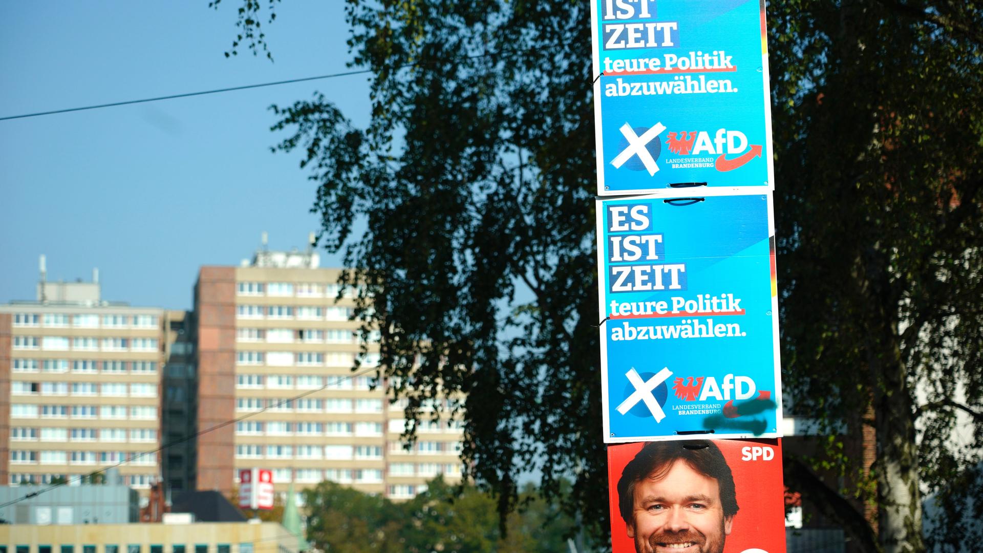 Zwei Wahlplakate der AfD über einem Wahlplakat der SPD vor der Landtagswahl in Brandenburg