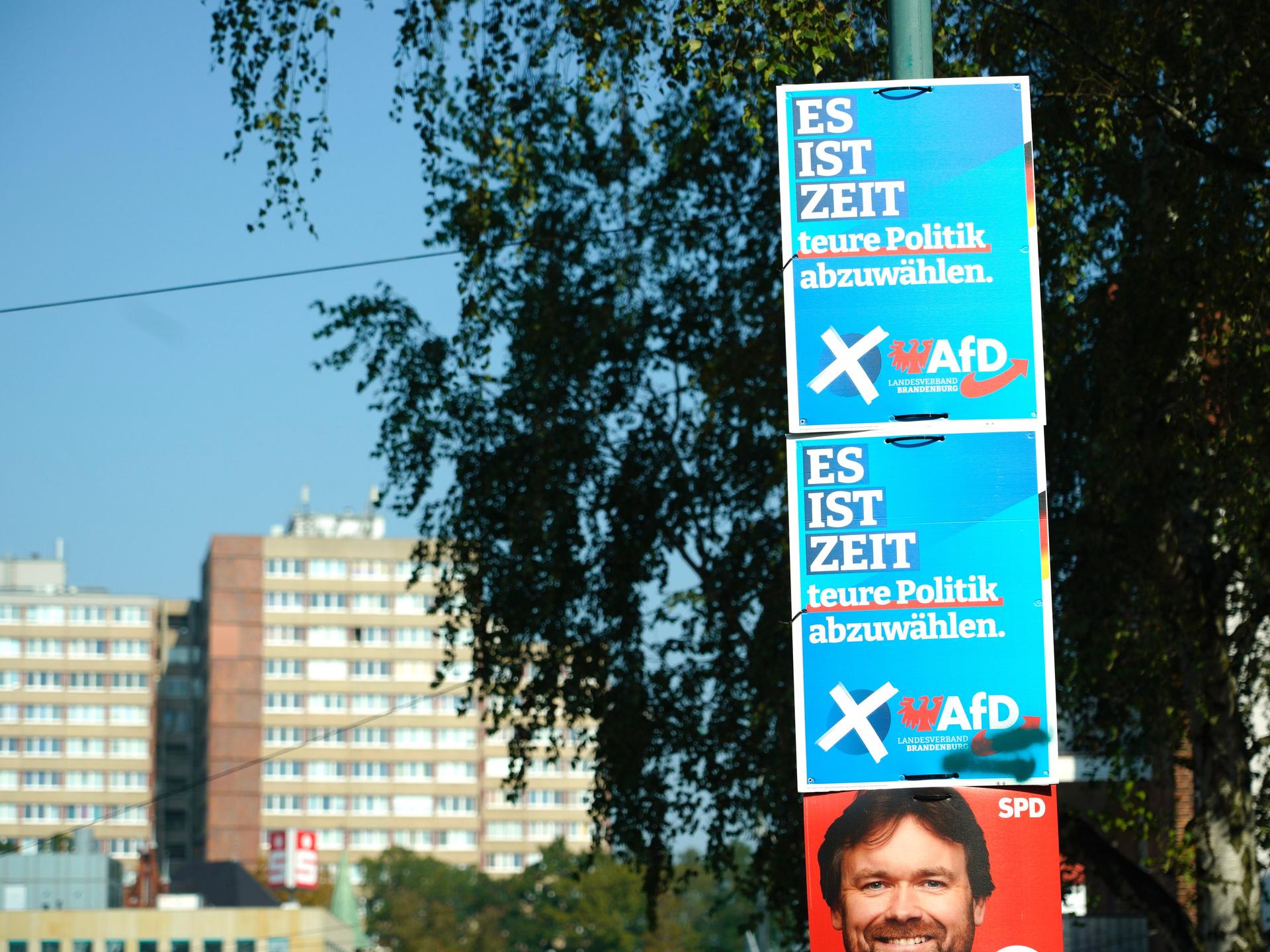 Zwei Wahlplakate der AfD über einem Wahlplakat der SPD vor der Landtagswahl in Brandenburg