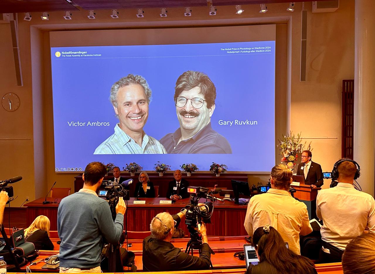 Die Gewinner des Nobelpreises für Medizin 2024: Victor Ambros (links auf der Leinwand) und Gary Ruvkun.