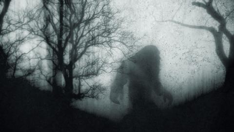 Darstellung einer mysteriösen Bigfoot-Figur, deren Silhouetten im Wald vor Bäumen zu sehen ist. Die Stimmung ist düster.