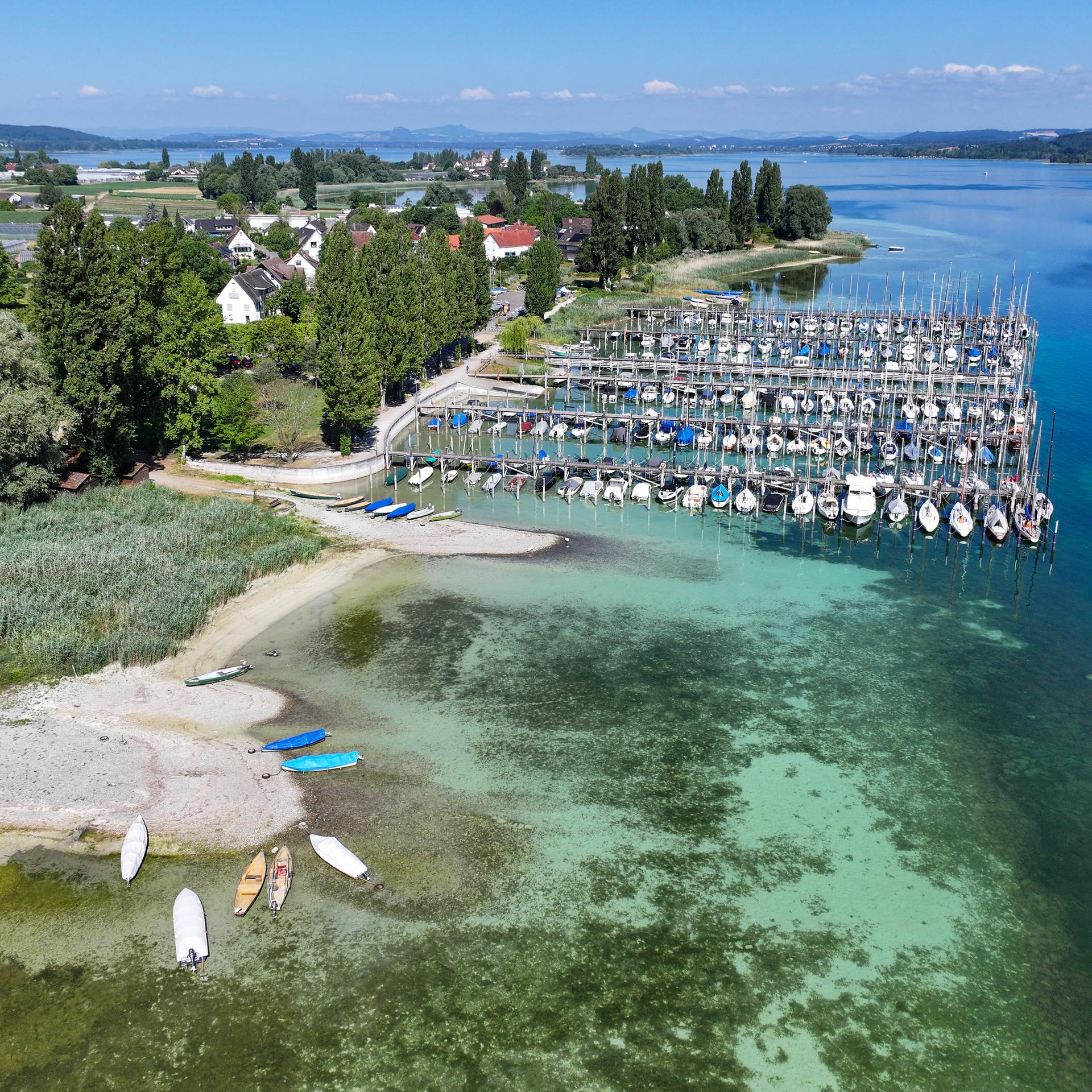 Niedrigwasser - Wie Wasserknappheit das Land verändert