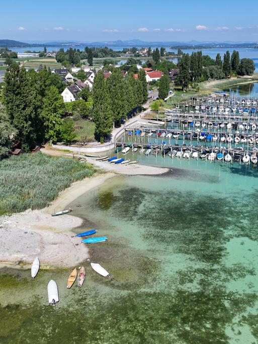 Niedrigwasser: Auf der Insel Reichenau im Bodensee liegen die Boote im Hafen. Niedrigwasser: Auf der Insel Reichenau im Bodensee liegen die Boote im Hafen.