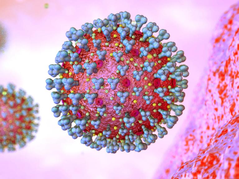 27.11.2021, Grafische Darstellung Corona-Virus, (Corona-Virus Mikroskopische Ansicht), Eine neue SARS-CoV-2-Variante Omi
