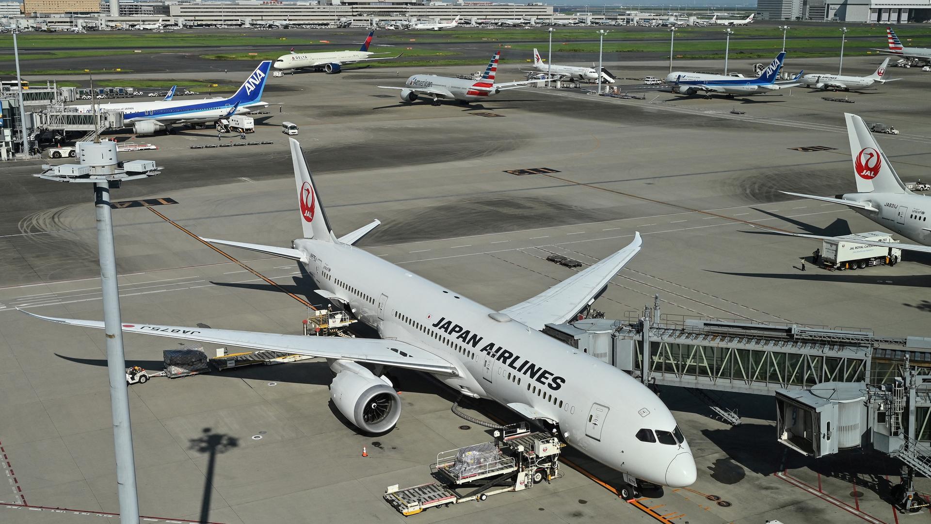 Ein Flugzeug steht an einem Flughafenterminal. (Photo by Richard A. Brooks / AFP)