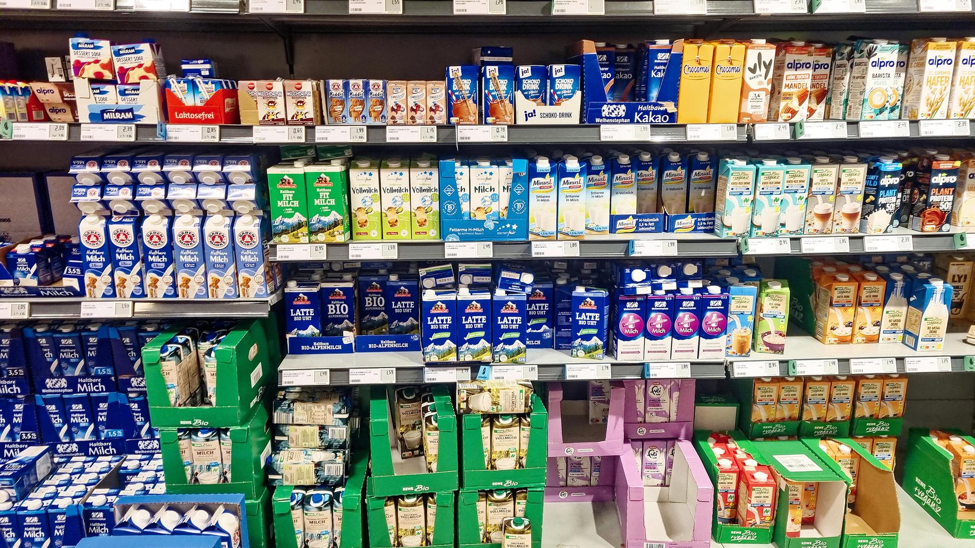 Verschiedene Milchsorten und Alternativen im Kühlregal eines Supermarktes