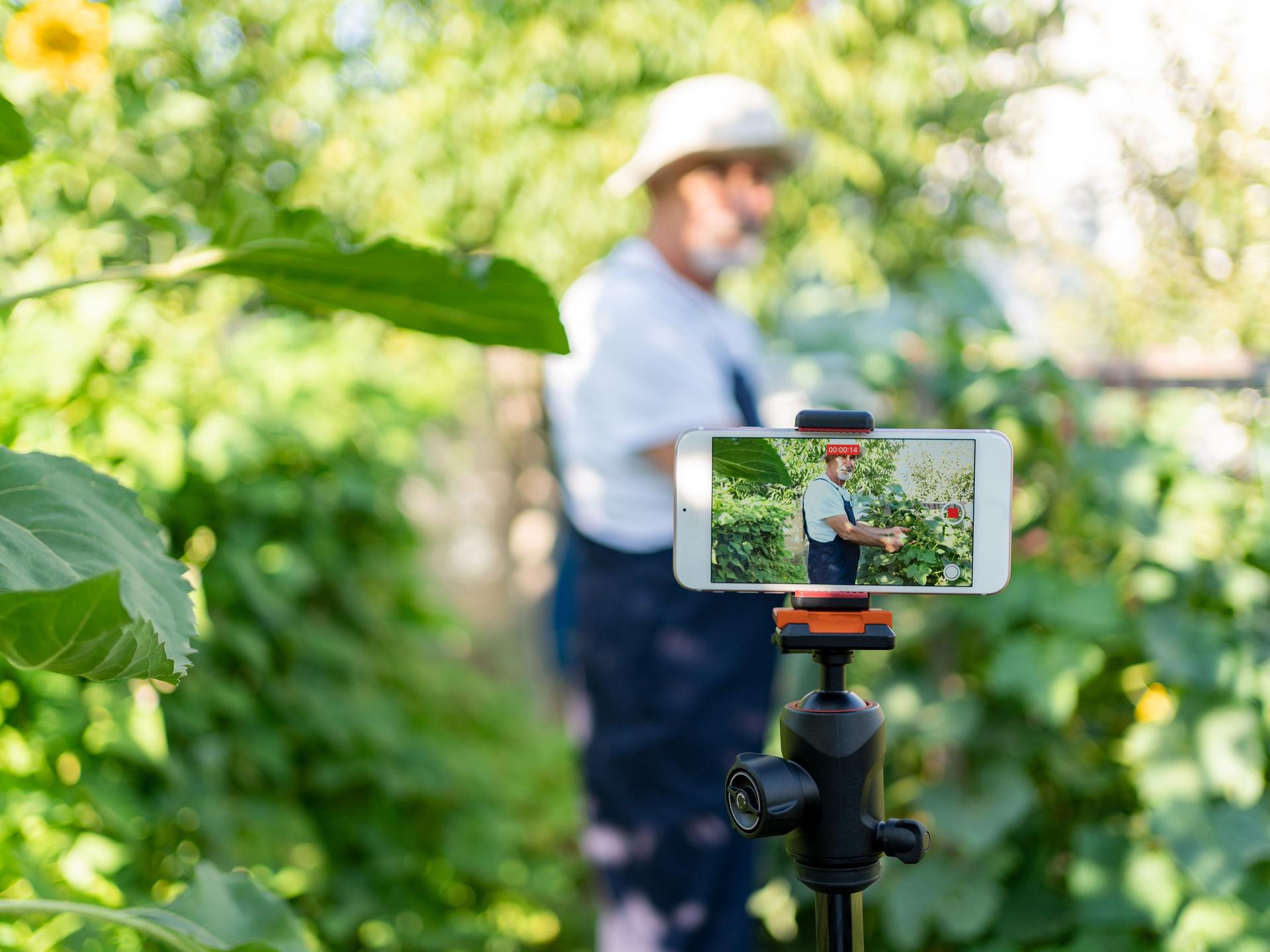 Ein moderner Landwirt filmt sich mit einem Mobiltelefon zwischen Gemüsepflanzen Ein moderner Landwirt filmt sich mit einem Mobiltelefon zwischen Gemüsepflanzen