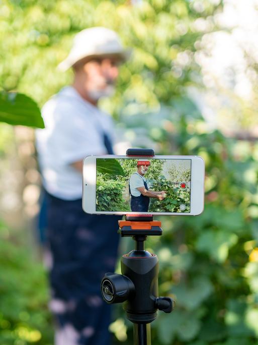 Ein moderner Landwirt filmt sich mit einem Mobiltelefon zwischen Gemüsepflanzen 