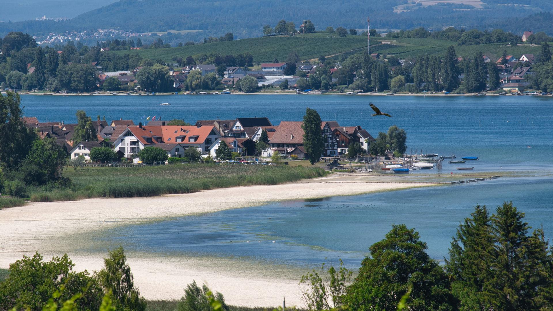 Eine sandige Uferlinie des Bodensees mit Niedrigwasser, aus der Ferne fotografiert. Dahinter ein Dorf, im Vordergrund Bäume. Eine sandige Uferlinie des Bodensees mit Niedrigwasser, aus der Ferne fotografiert. Dahinter ein Dorf, im Vordergrund Bäume.