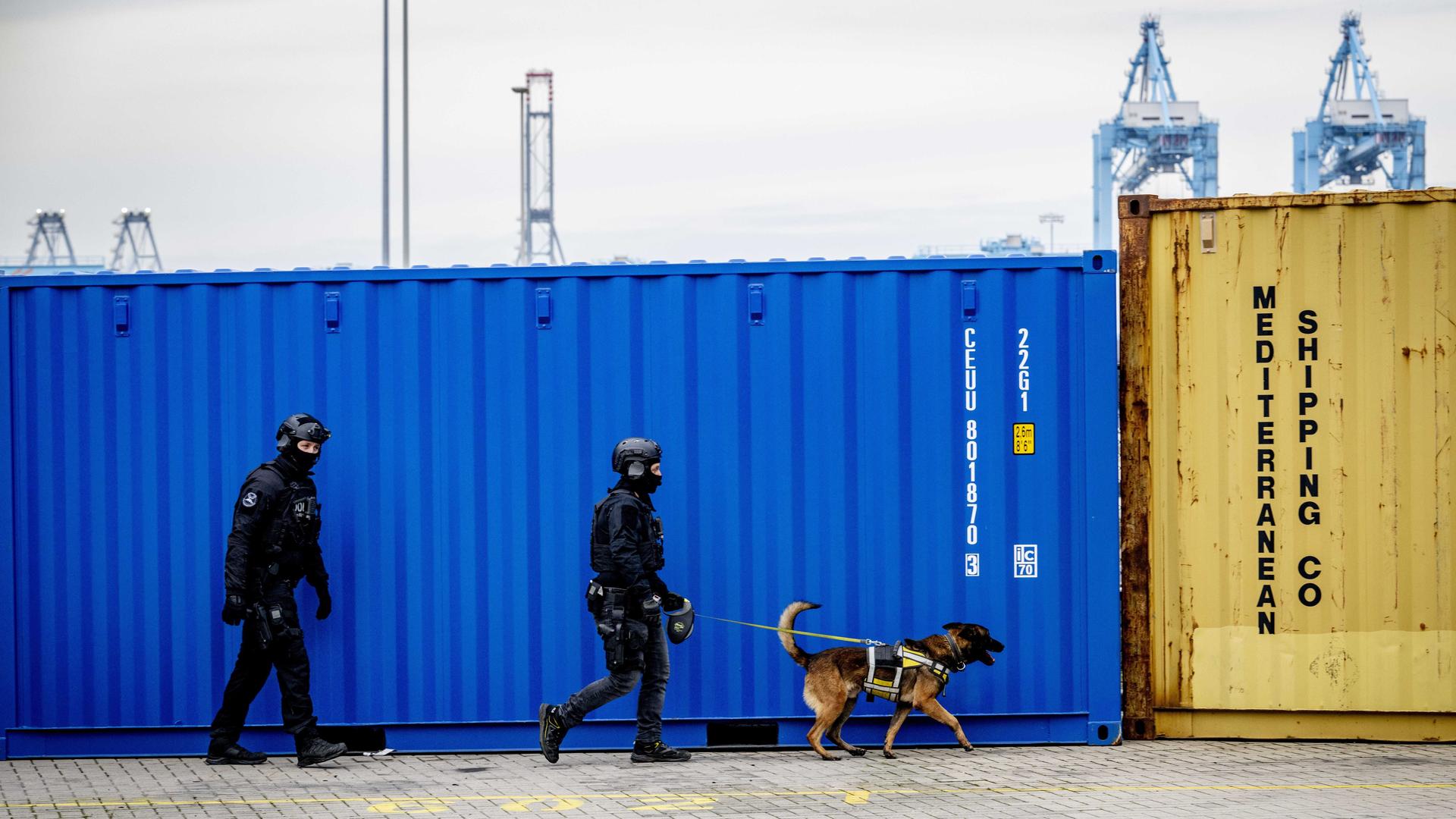 Zollbeamte mit Spürhund vor Containern im Hafen von Rotterdam