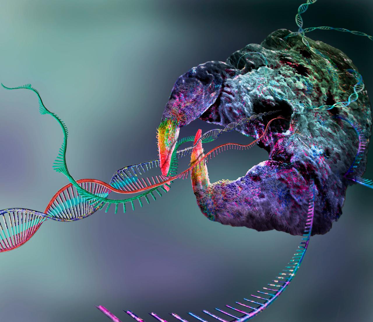 Farbige Illustration eine  CRISPR-Cas9-Proteins. Eine violett-grüne Wolke aus der sich DNA-Stränge winden.