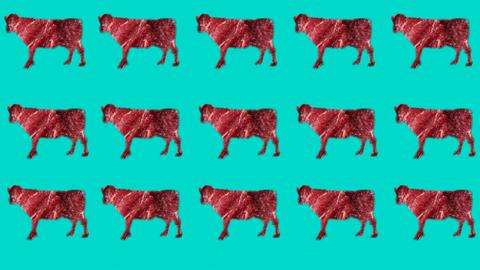 Vor einem blauen Hintergrund sind die Umrisse von Kühen zu sehen. Die Kühe bestehen aus Fleisch.
