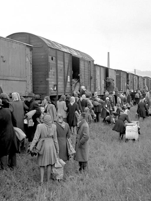 Hunderte Menschen mit Kinderwagen und schweren Taschen steigen in einen Güterzug ein. Am 16. Mai 1946 werden deutsche Familien aus Prag am Bahnhof Modrany aus der Tschecheslowakei abtransportiert. Hunderte Menschen mit Kinderwagen und schweren Taschen steigen in einen Güterzug ein. Am 16. Mai 1946 werden deutsche Familien aus Prag am Bahnhof Modrany aus der Tschecheslowakei abtransportiert.