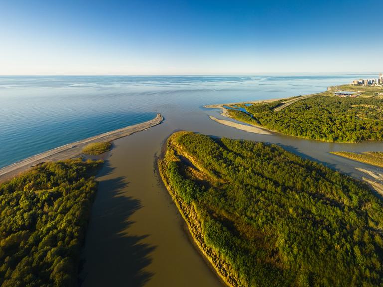 Luftaufnahme der sonnigen Schwarzmeerküste und des Chorokh-Flussdeltas inmitten von Waldgebieten in der Nähe der Stadt Batumi, Georgien
