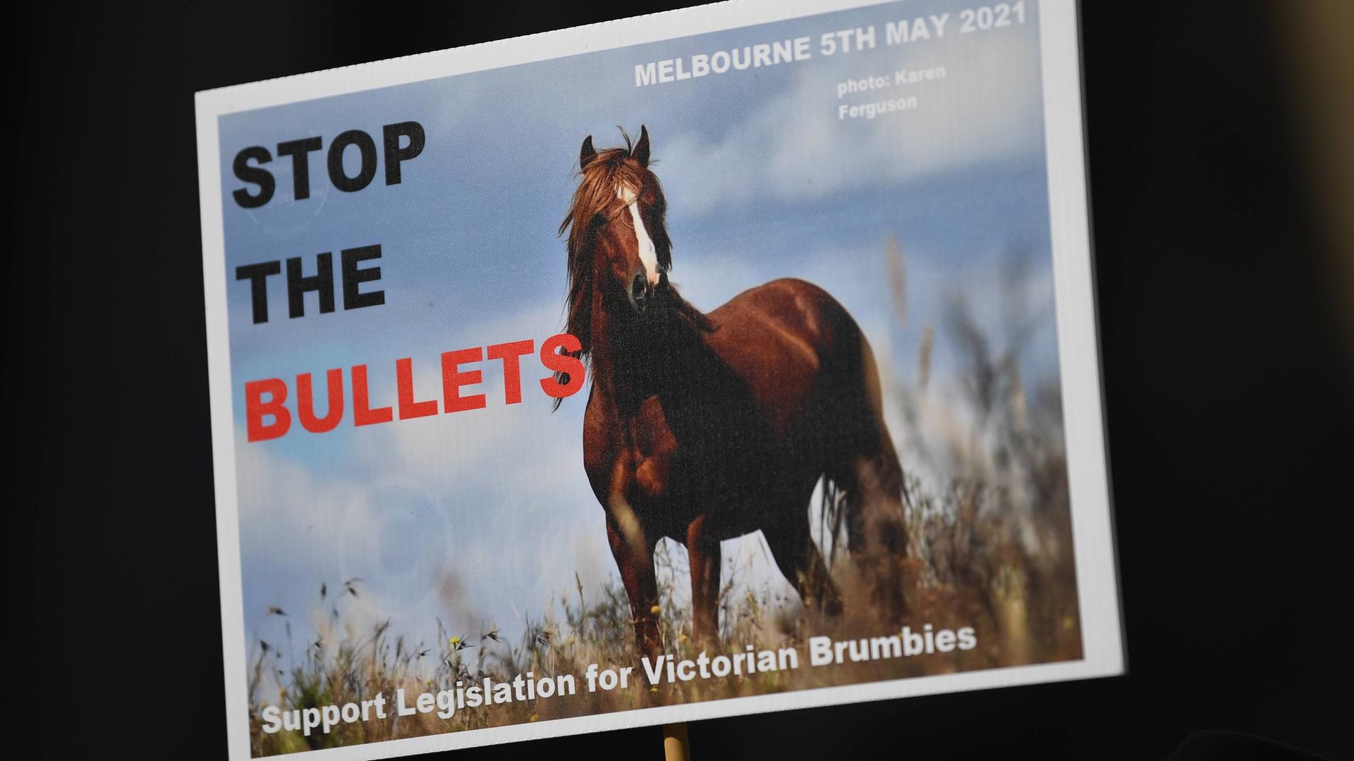 Protestplakat gegen die Pläne, verwilderte Pferde - sogenannte Brumbies - zu töten.