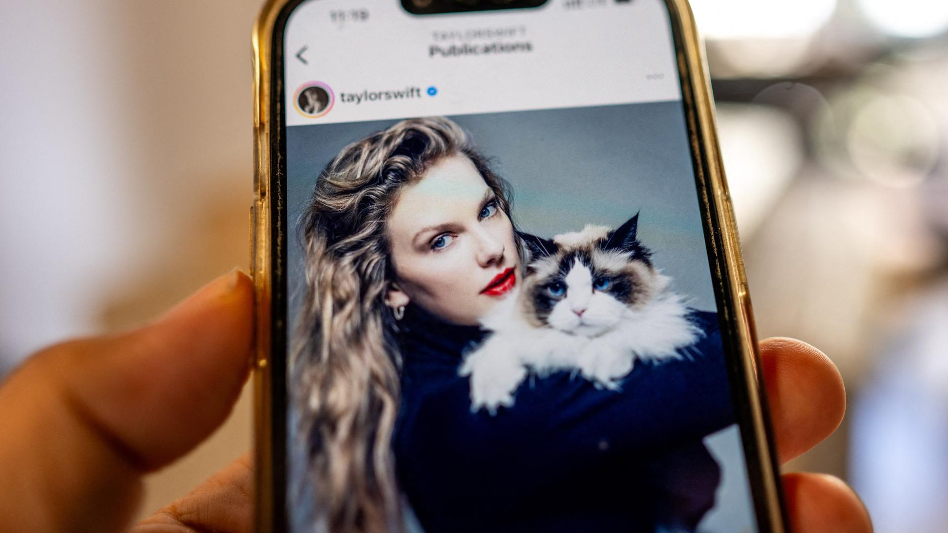 Ein Handy, was in einer Hand gehalten wird und auf dem Taylor Swift mit einer Katze zu sehen ist.