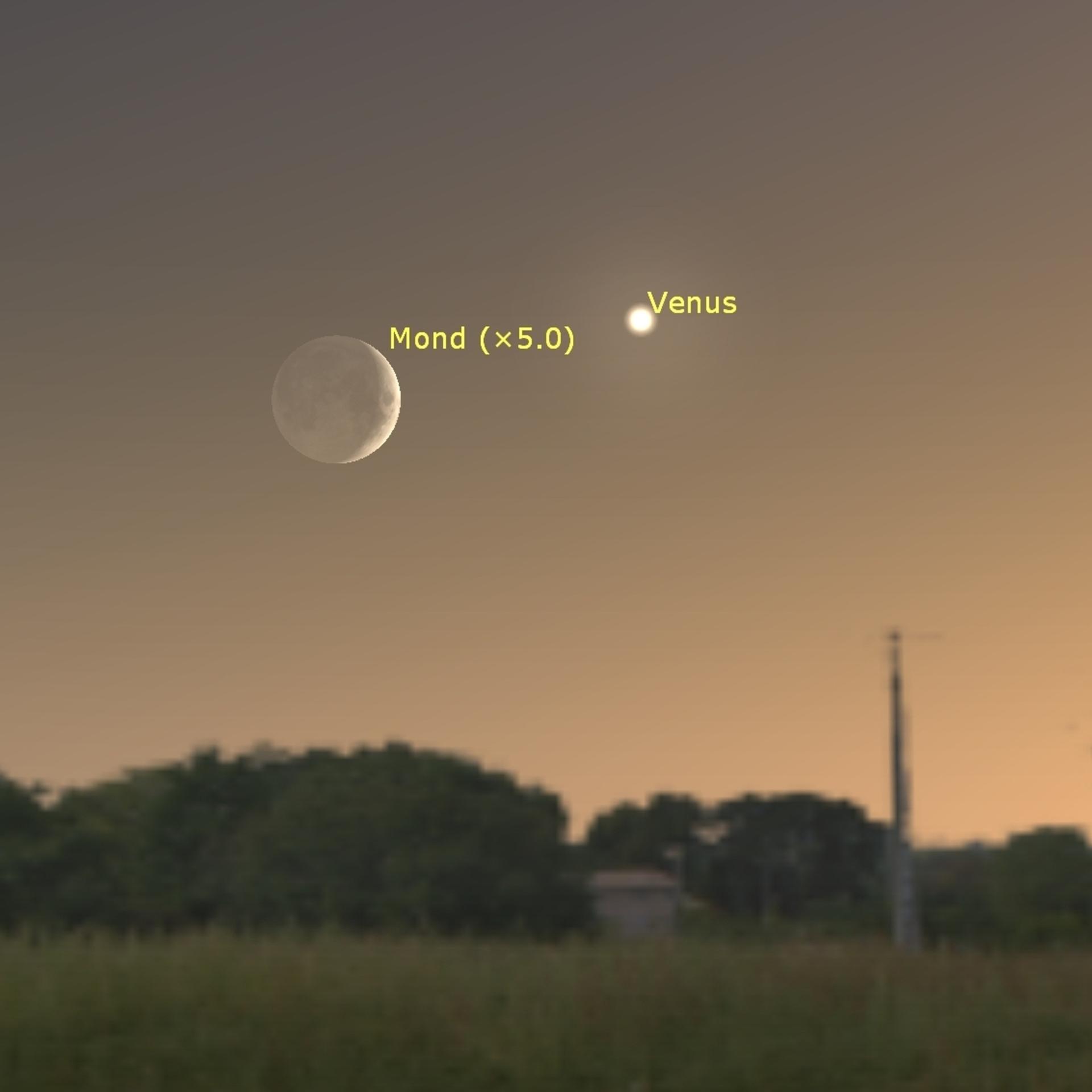 Kurze Sichtbarkeit - Die Venus ist kaum zu sehen