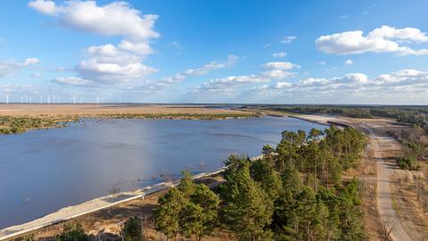 Cottbuser Ostsee, am Rand Wald, darüber blauer Himmel. Das Gelände war früher ein Braunkohle-Tagebau.