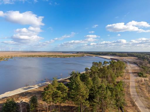 Cottbuser Ostsee, am Rand Wald, darüber blauer Himmel. Das Gelände war früher ein Braunkohle-Tagebau.