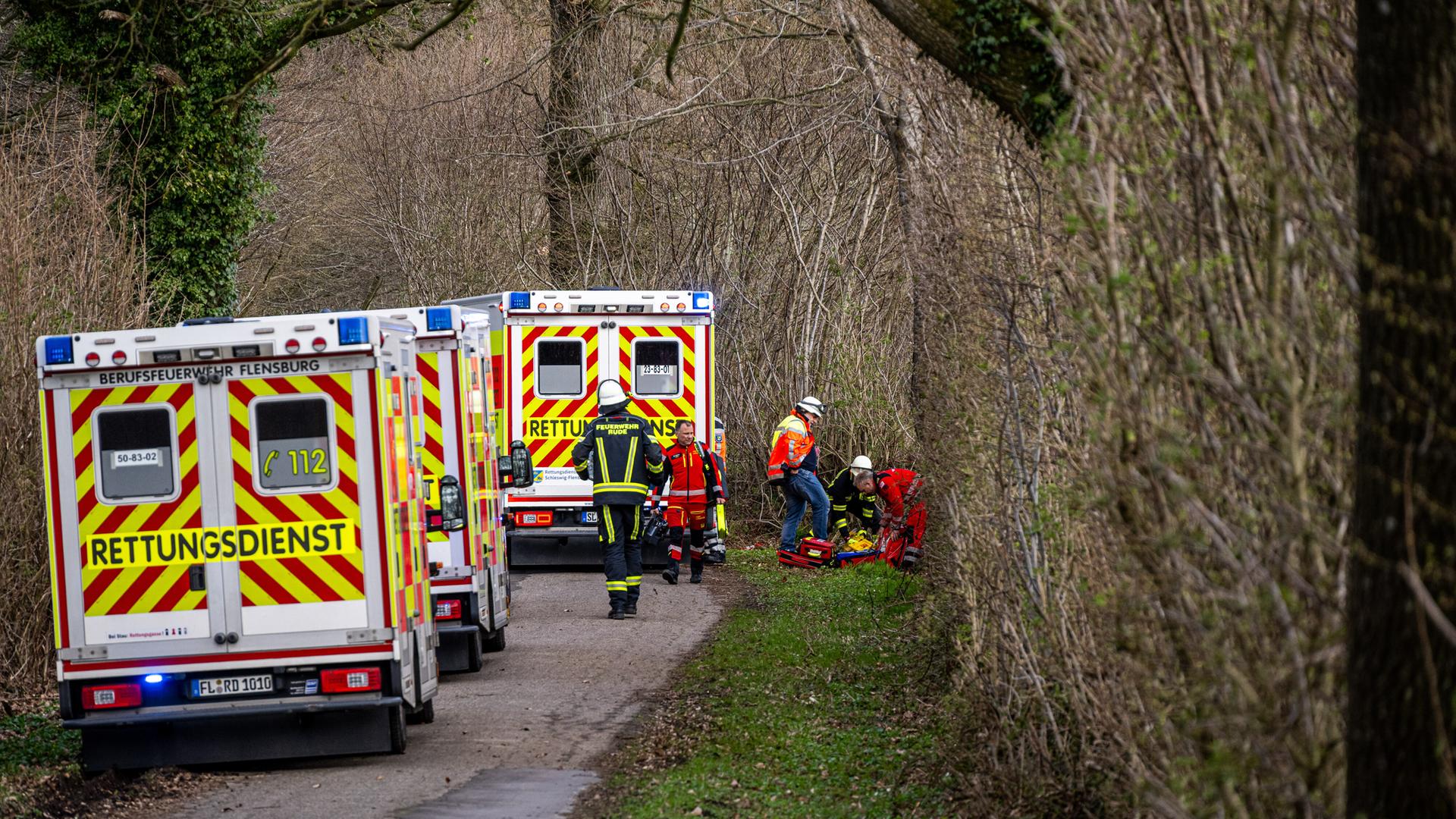 Durch einen umgestürzten Baum sind drei Menschen ums Leben gekommen. Rettungskräfte sind in einem Waldstück im Einsatz. Es sind auch drei Rettungswagen zu sehen.
Durch einen umgestürzten Baum sind drei Menschen ums Leben gekommen. Rettungskräfte sind in einem Waldstück im Einsatz. Es sind auch drei Rettungswagen zu sehen.