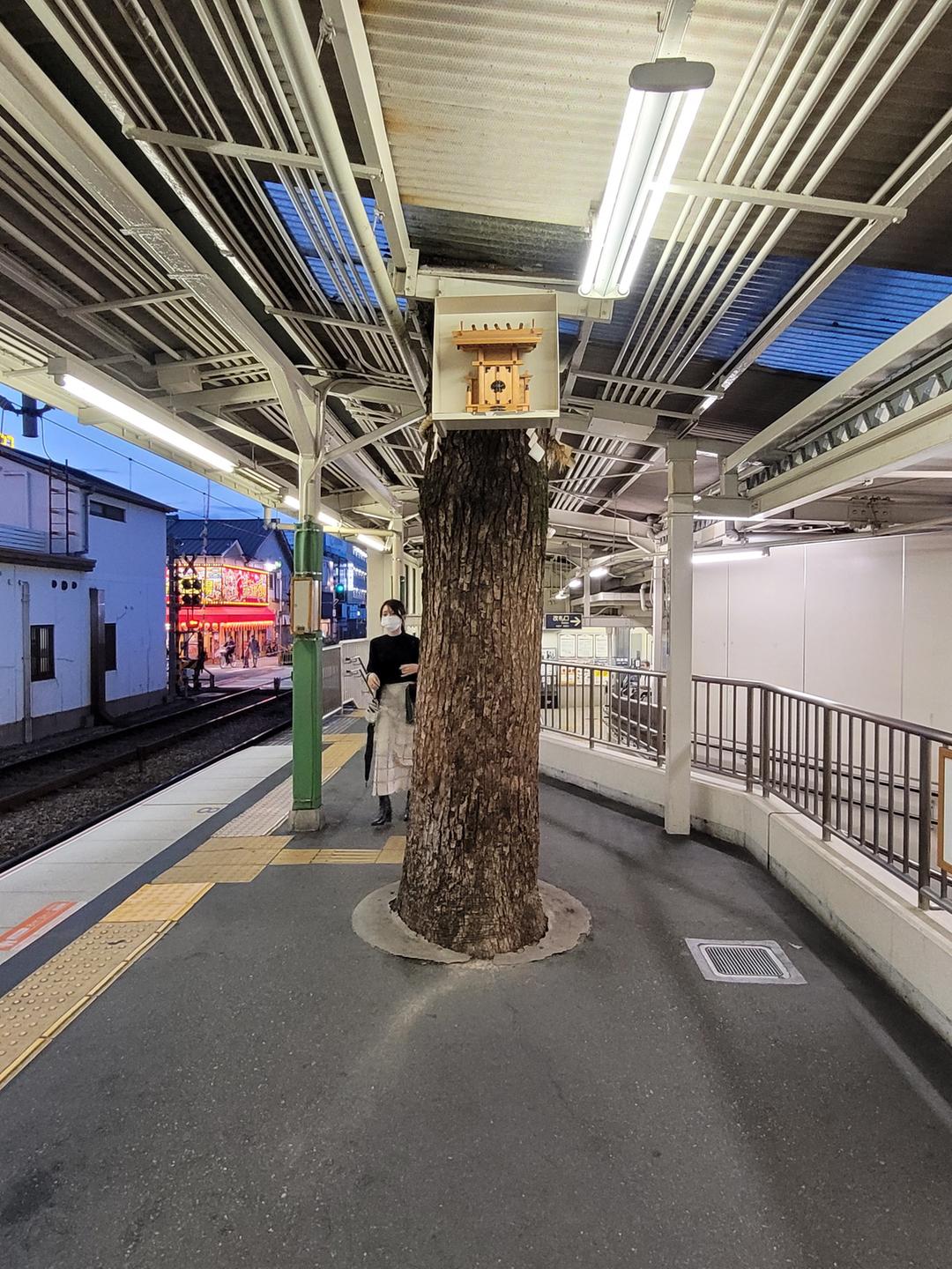 Aus einem Bahnsteig ragt ein Baumstamm empor, in einem Kasten in etwa zweieinhalb Meter Höhe ist daran ein Kultgegenstand aus Holz angebracht.