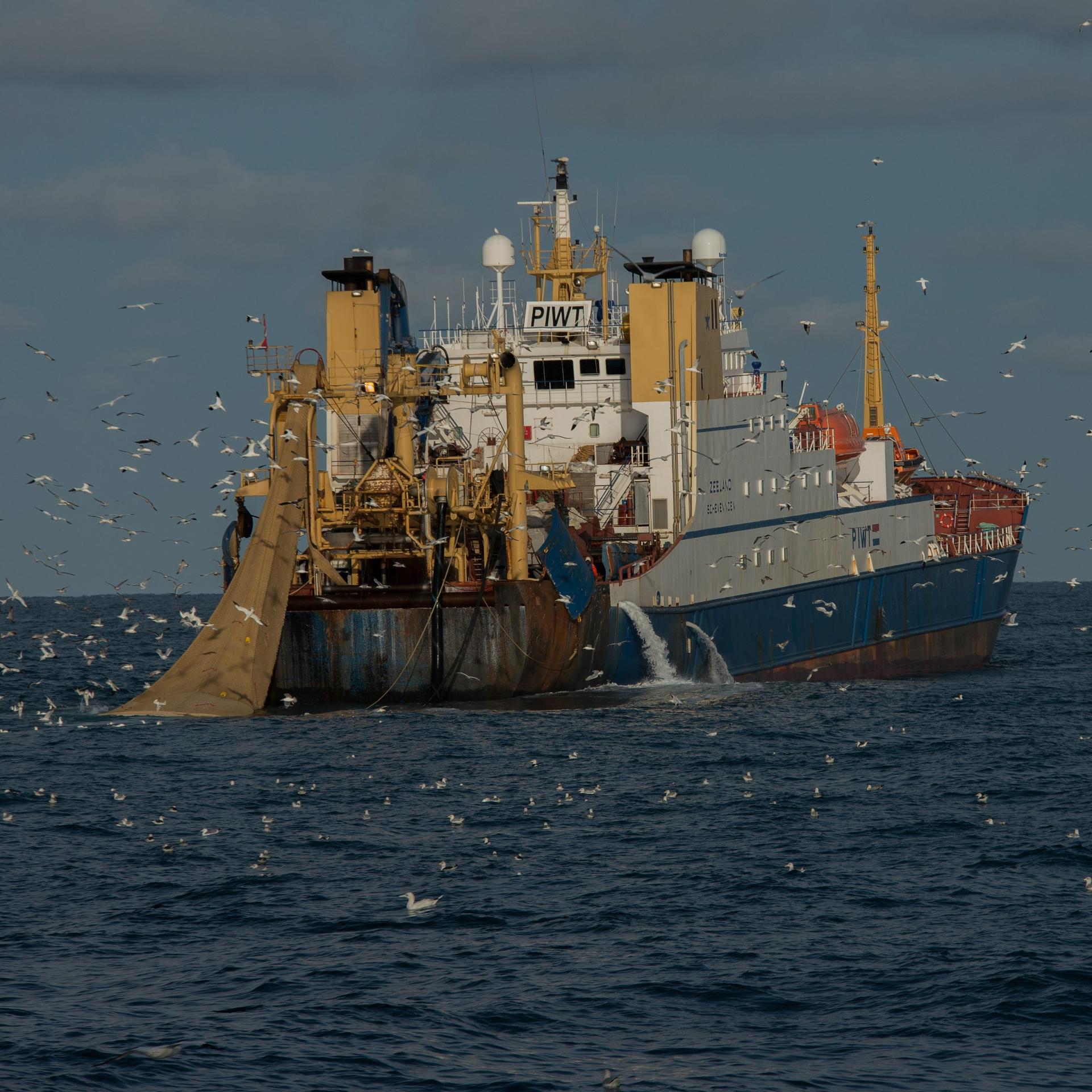 Klimawandel - Fischerei mit Grundschleppnetzen verursacht hohe Emissionen