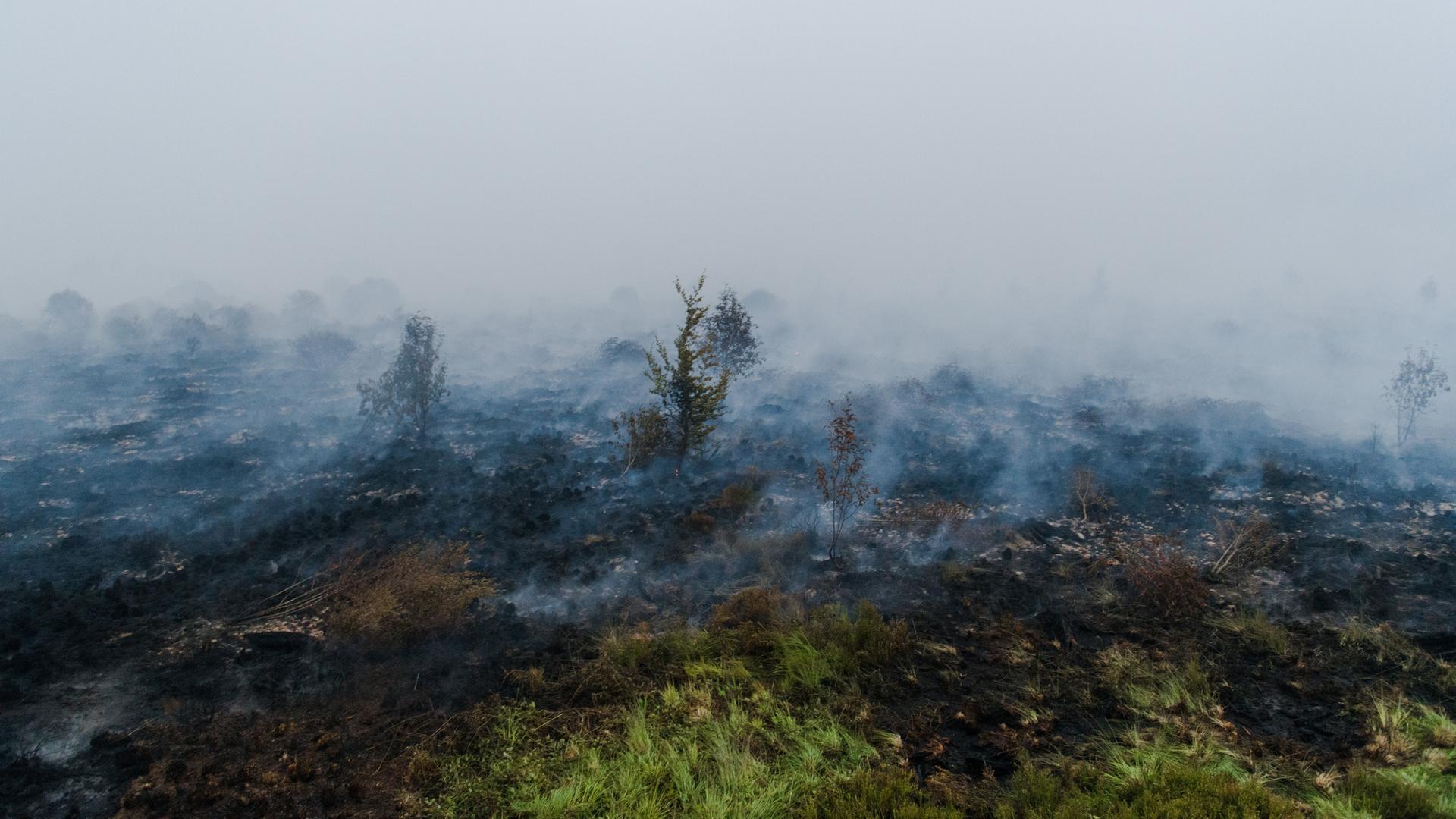 Rauch steigt aus dem verbrannten Boden im Naturschutzgebiet Hohes Venn auf.