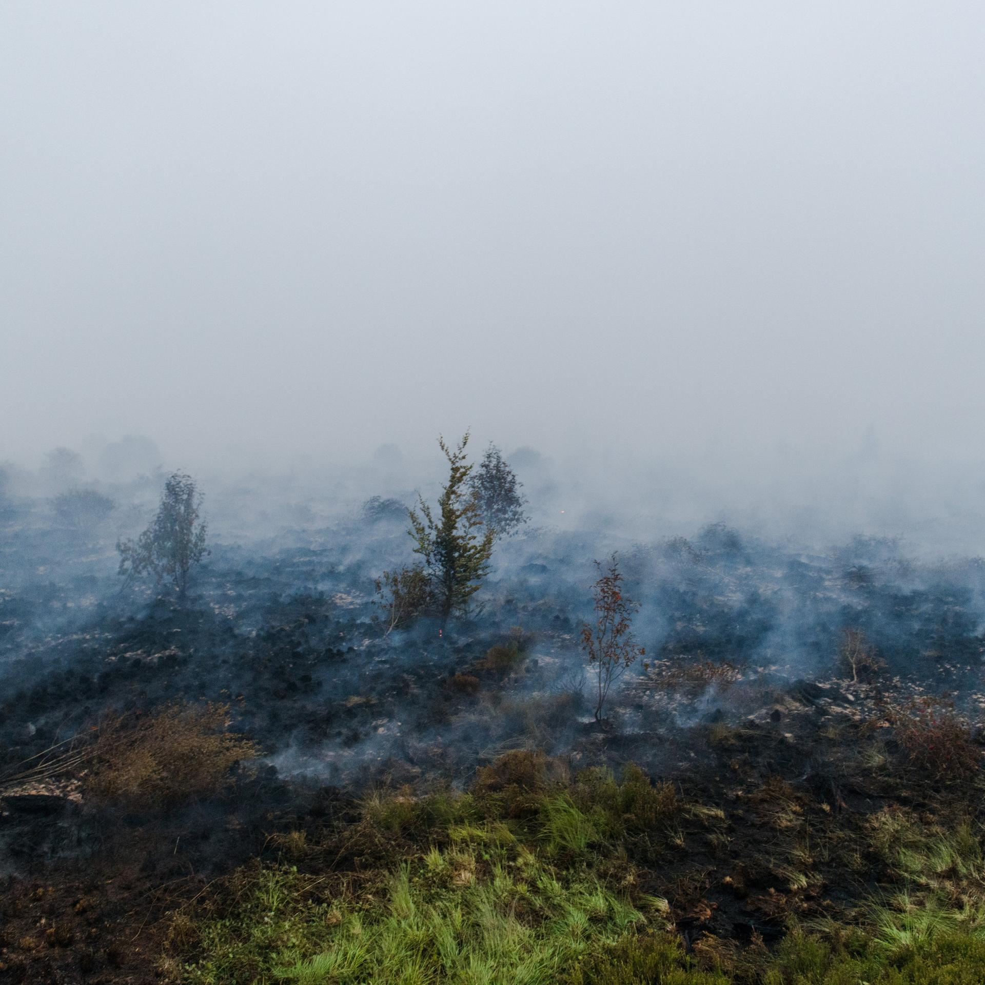 Sourbrodt: Rauch steigt aus dem verbrannten Boden im Naturschutzgebiet Hohes Venn auf.