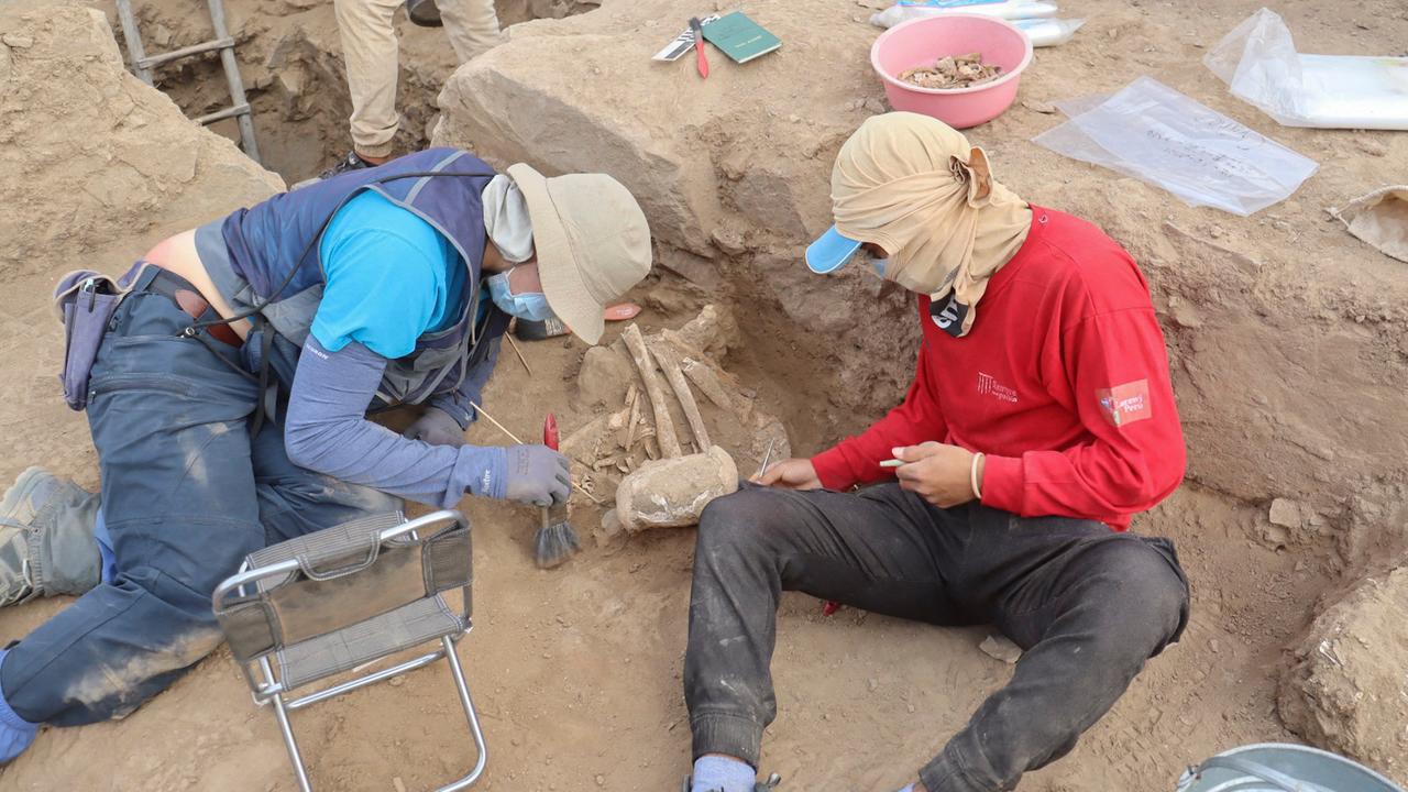 Zwei Archäologen legen vorsichtig ein menschliches Skelett frei, das aus dem Erdboden ragt. Sie verwenden dabei Pinsel und feines Werkzeug. Zwei Archäologen legen vorsichtig ein menschliches Skelett frei, das aus dem Erdboden ragt. Sie verwenden dabei Pinsel und feines Werkzeug.