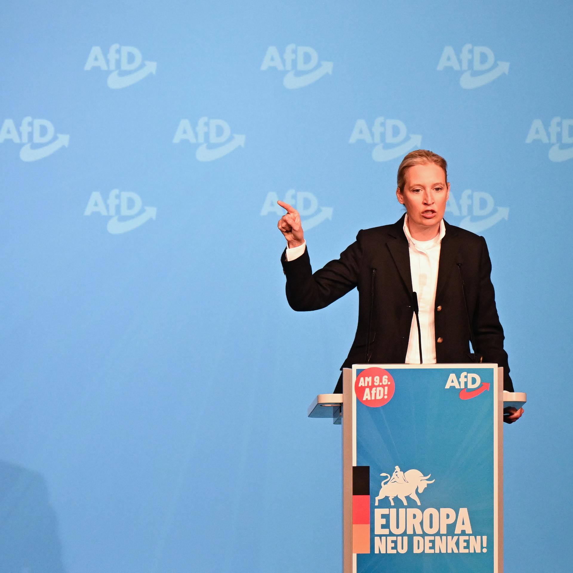 Termin für Neuwahlen - Warum ein "Express-Wahlkampf" nur der AfD nützt