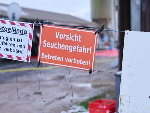 Am Tor zum Gelände eines Bauernhofs hängt ein Schild mit der Aufschrift "Vorsicht Seuchengefahr! Betreten verboten".