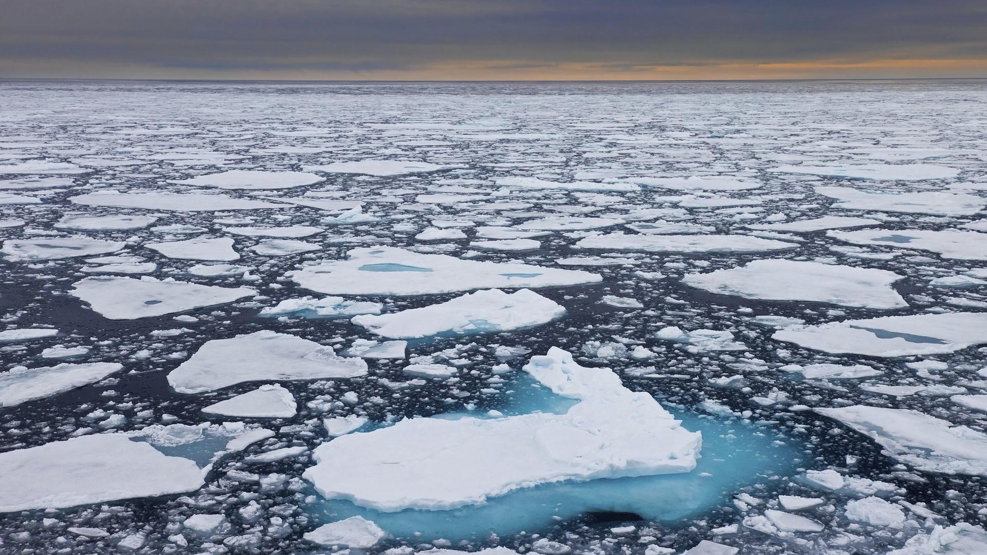 Schwimmende Eisschollen im Arktischen Ozean bei Sonnenuntergang.