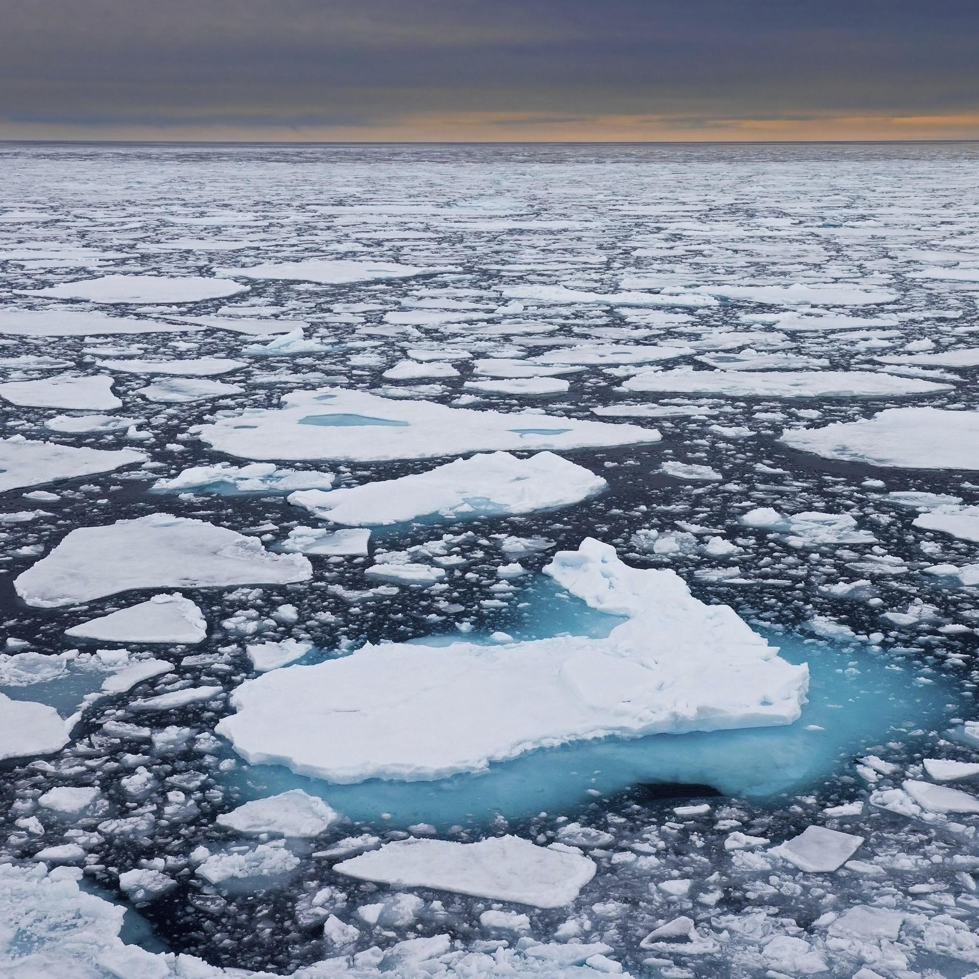 Schwimmende Eisschollen im Arktischen Ozean bei Sonnenuntergang