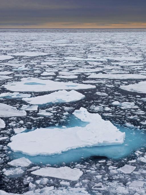 Schwimmende Eisschollen im Arktischen Ozean bei Sonnenuntergang.