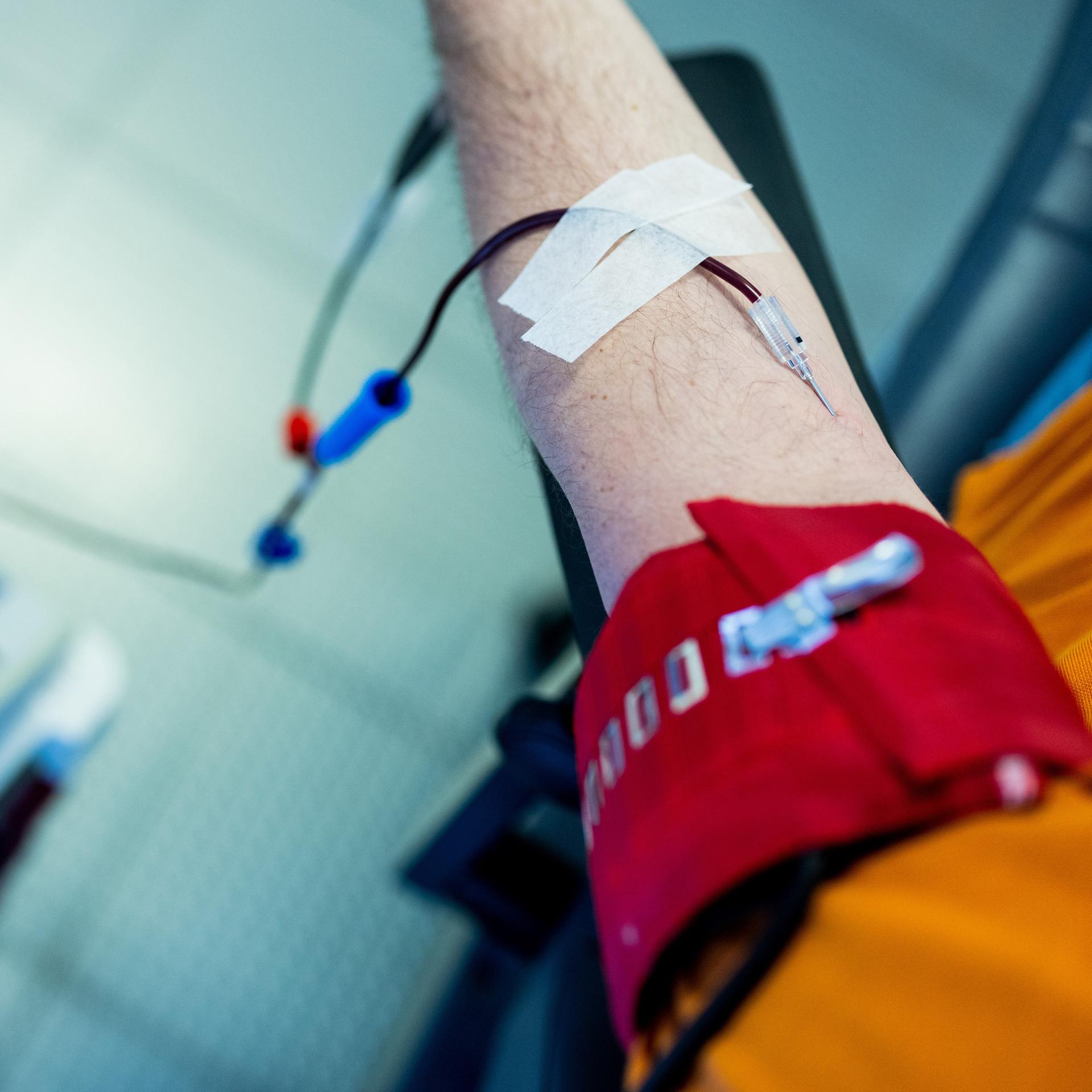 Winterwetter und Infekte - DRK ruft zu Blutspenden auf und warnt vor Engpass