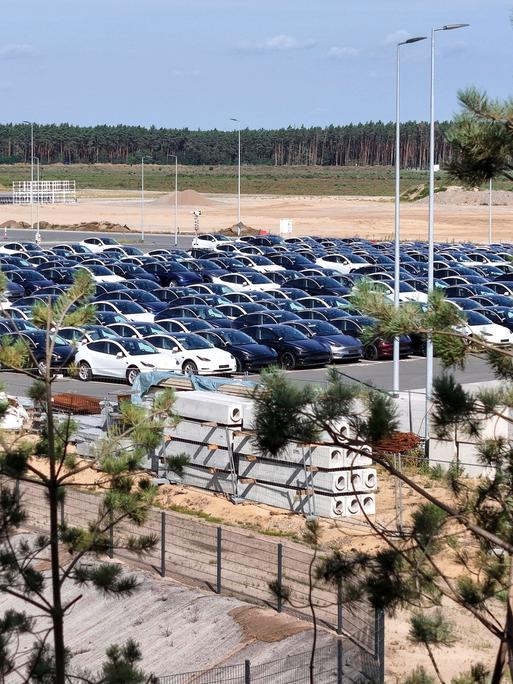Parkplatz der Tesla Giga Factory in Grünheide, im Vordergrund ragen Bäume ins Bild, im Hintergrund sind trockener Sand und ein Waldstück zu sehen, aufgenommen am 13.08.2023
