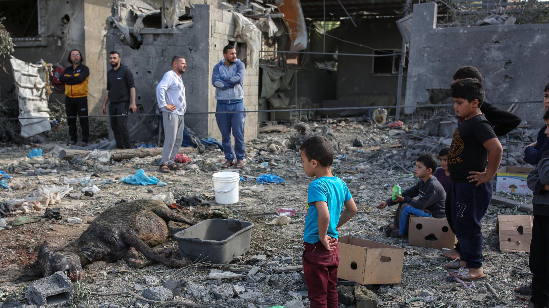 Palästinensische Kinder stehen vor einem toten Esel, der bei der israelischen Bombardierung von Deir al-Balah, im Zentrum des Gazastreifens getötet wurde. Palästinensische Kinder stehen vor einem toten Esel, der bei der israelischen Bombardierung von Deir al-Balah, im Zentrum des Gazastreifens getötet wurde.