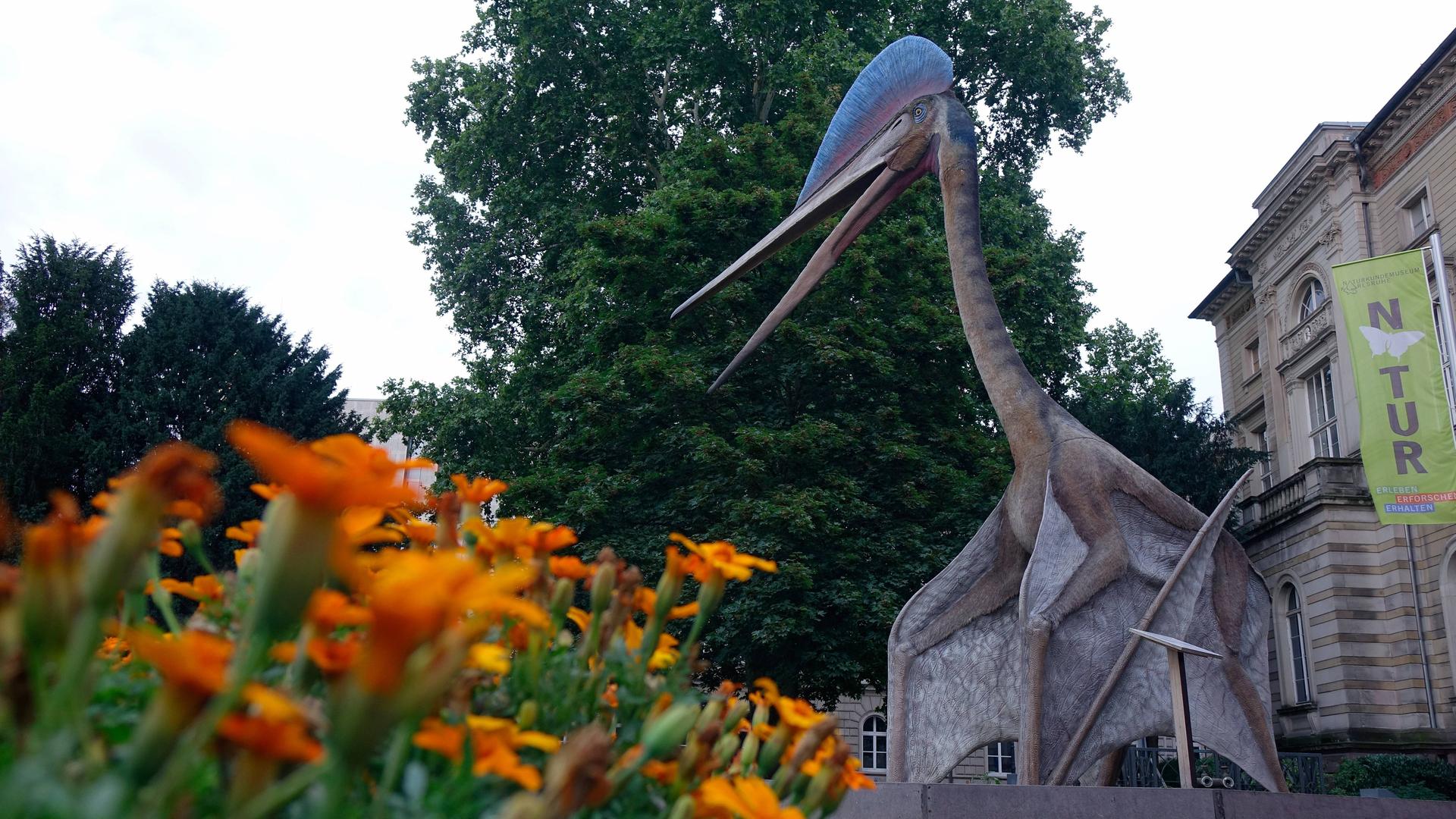 Flugsaurierfigur am Naturkundemuseum in Karlsruhe