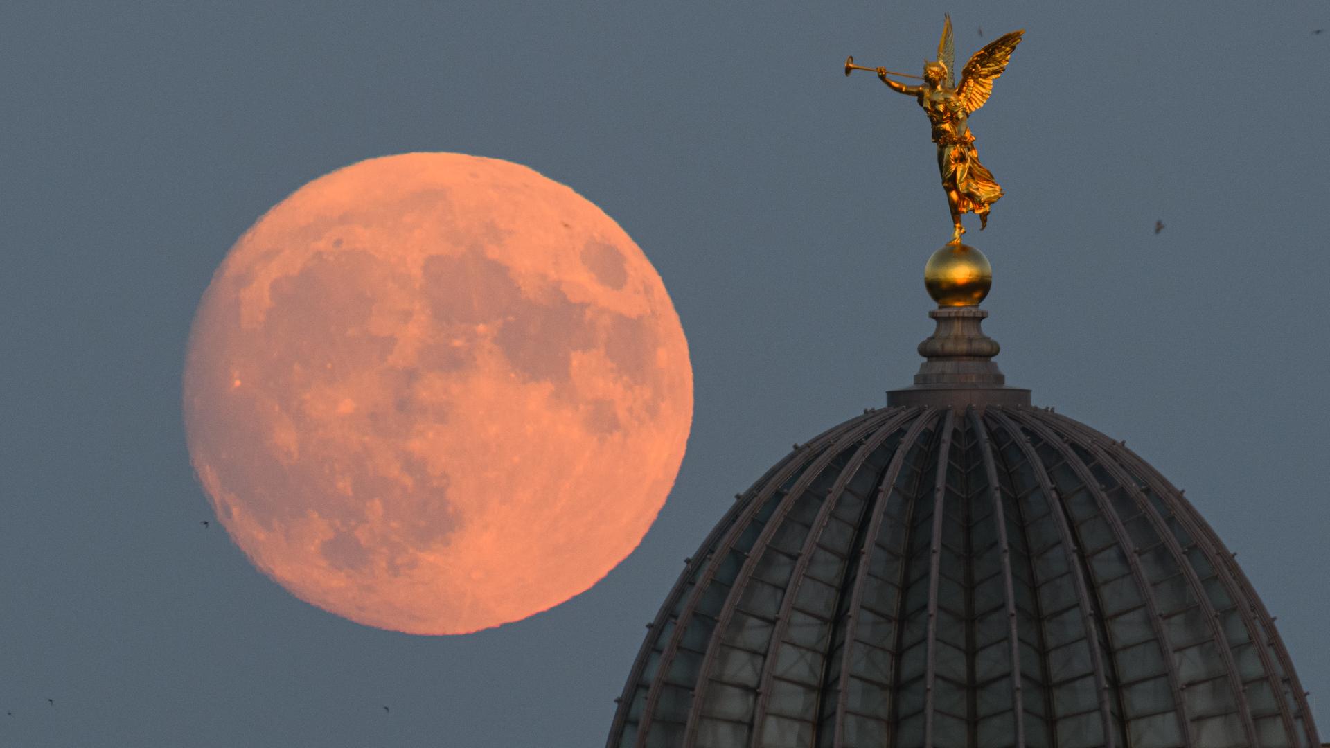 Der zunehmende Mond geht am Abend hinter der Kuppel der Dresdner Kunstakademie mit dem Engel "Fama" auf.