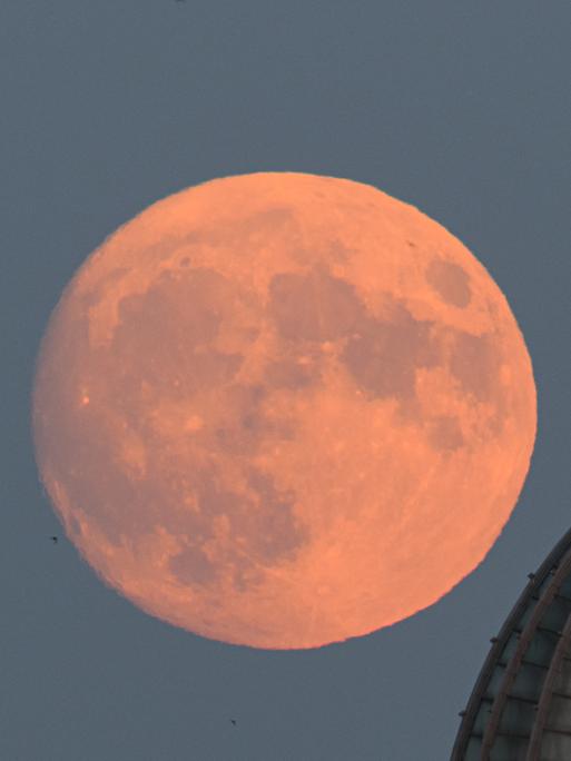 Der zunehmende Mond geht am Abend hinter der Kuppel der Dresdner Kunstakademie mit dem Engel "Fama" auf.