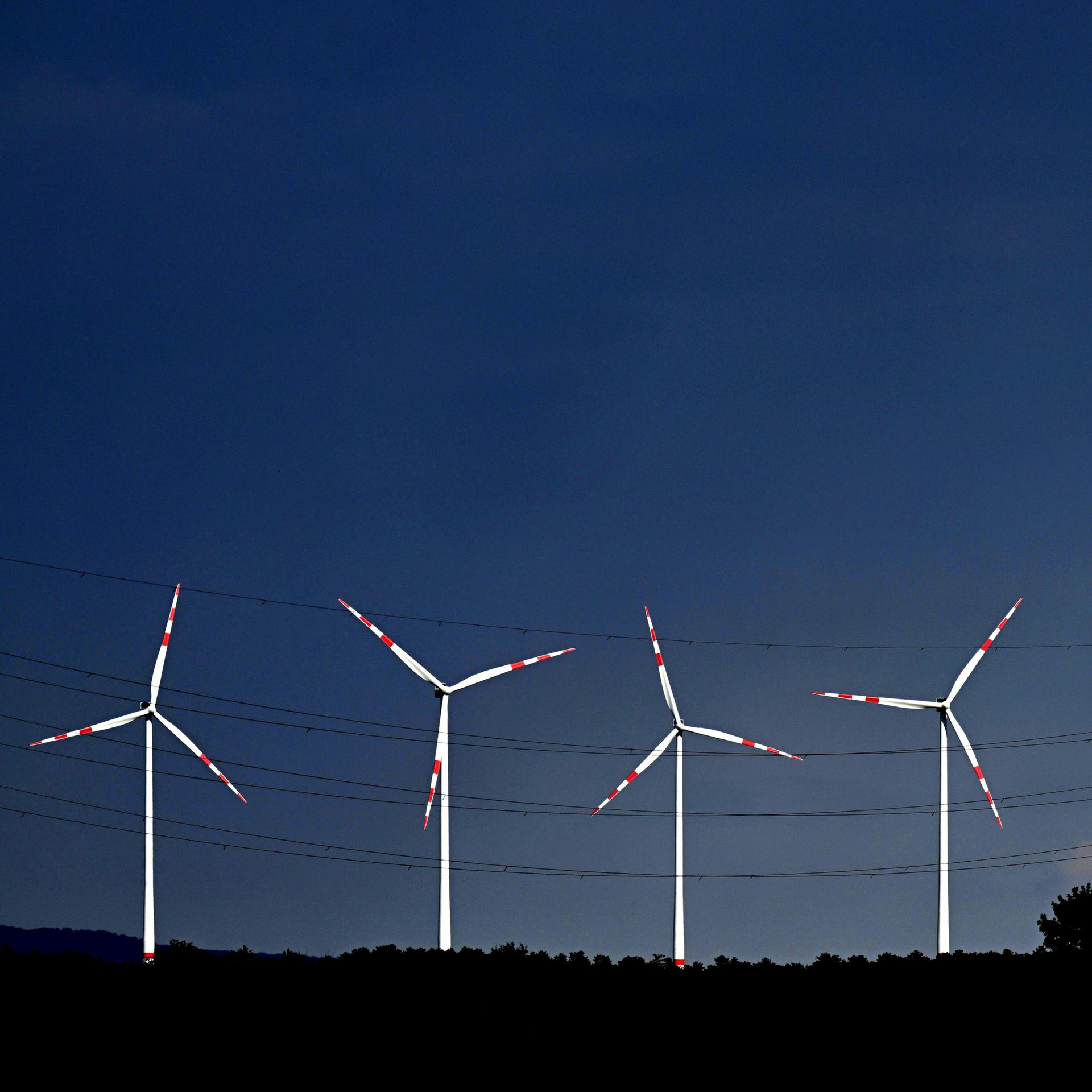 Klimakrise - Warum Klimaschutz auch konservativ ist