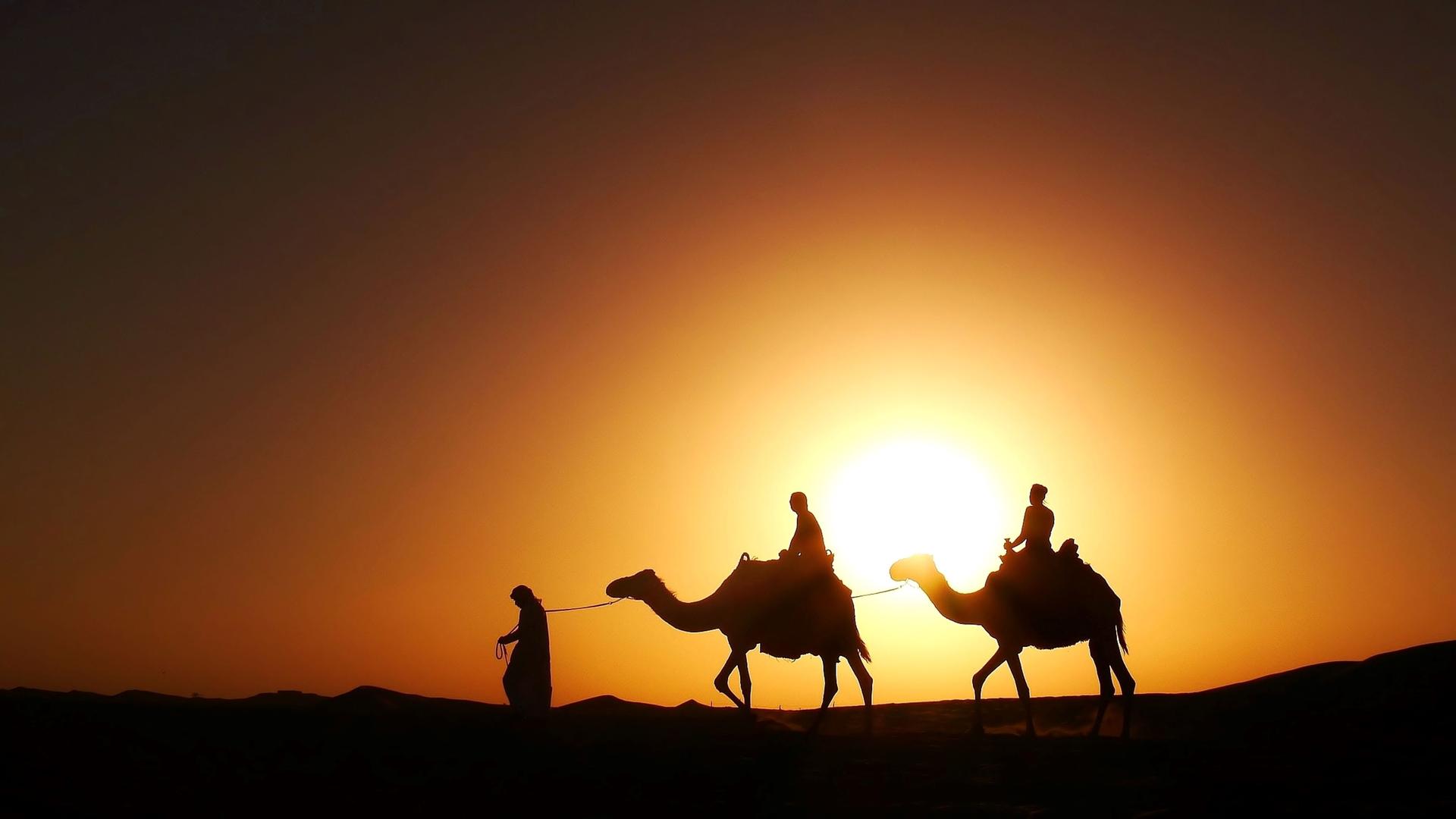 Silhouetten von zwei Reitern auf Kamelen in der Wüste vor einem orangefarbenen Sonnenuntergang.